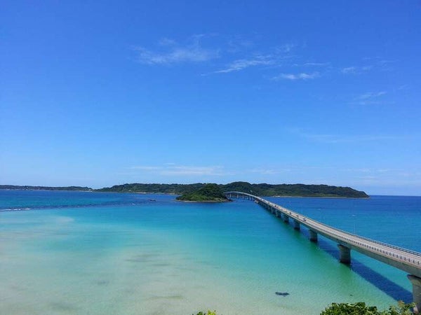 【新大阪・新神戸・姫路・岡山駅発】 絶景・歴史・食の集大成!山口まるごと黄金周遊3日間 1